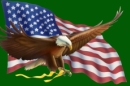 MAde in the USA